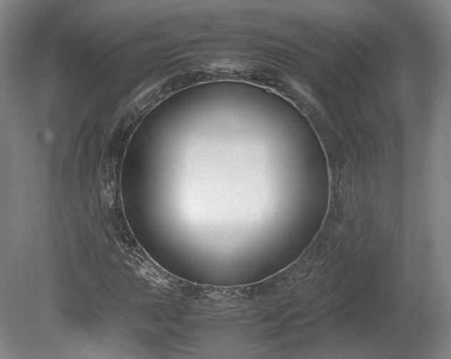 X0000078881015200611201405