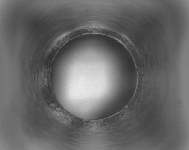 X0000078881016200611201405