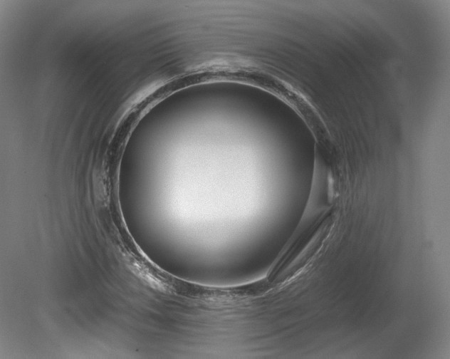 X0000078881018200611201405