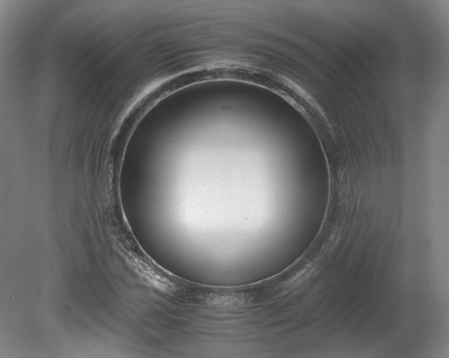 X0000078881021200611201405