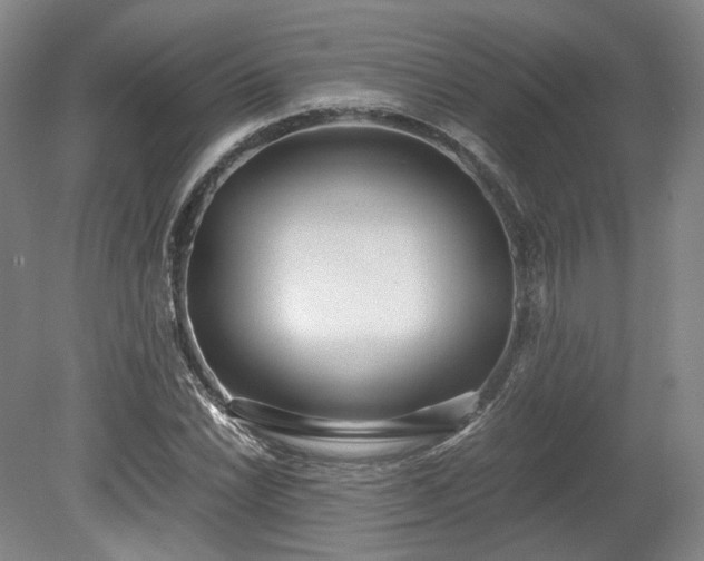 X0000078881022200611201405