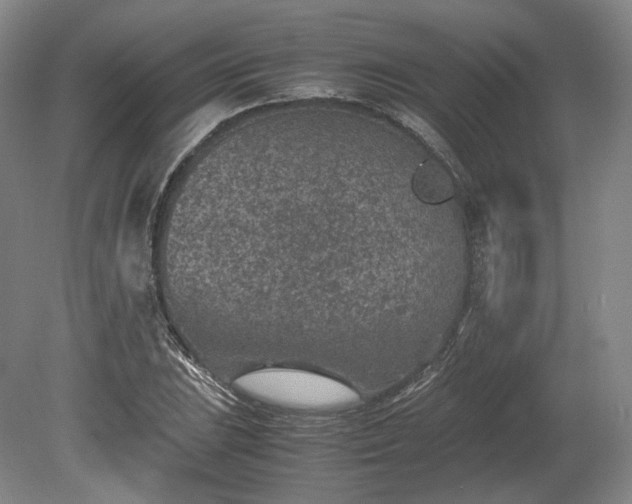 X0000078881023200611201405