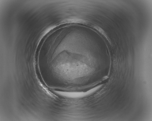 X0000078881024200611201405