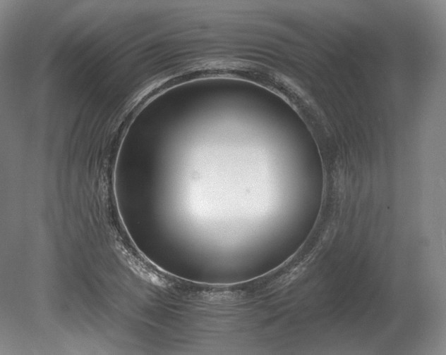 X0000078881025200611201405