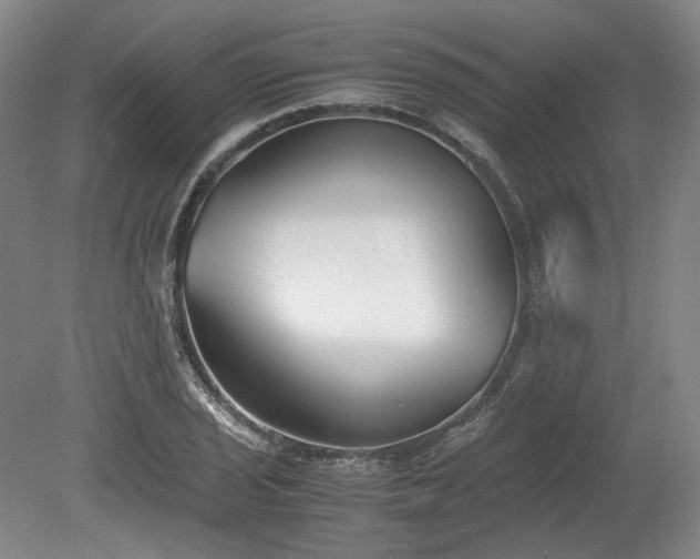 X0000078881029200611201405