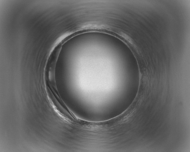 X0000078881030200611201405