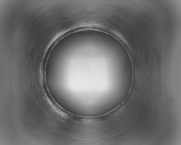 X0000078881032200611201405
