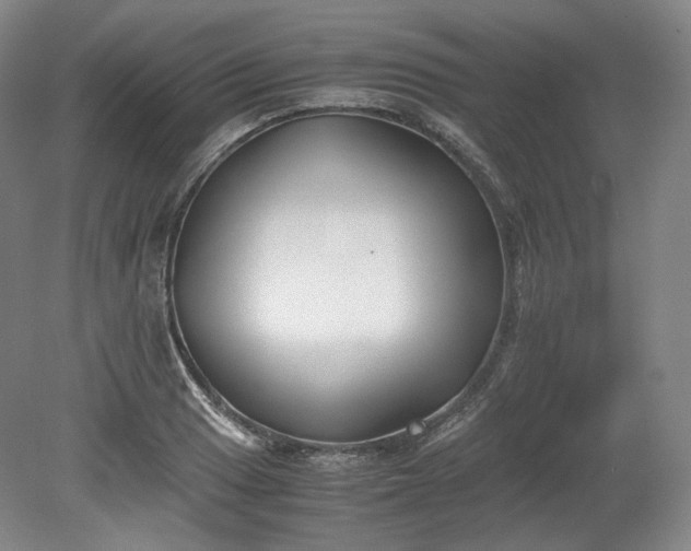 X0000078881033200611201405