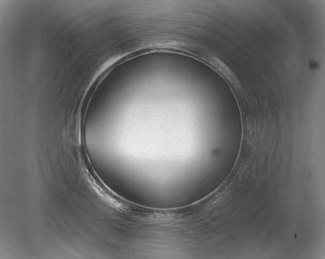 X0000078881036200611201405