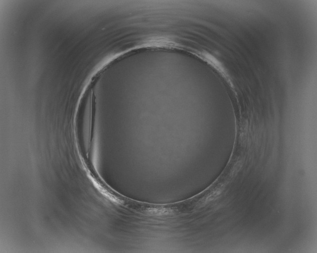 X0000078881037200611201405