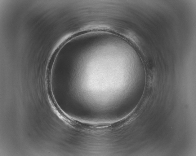 X0000078881038200611201405
