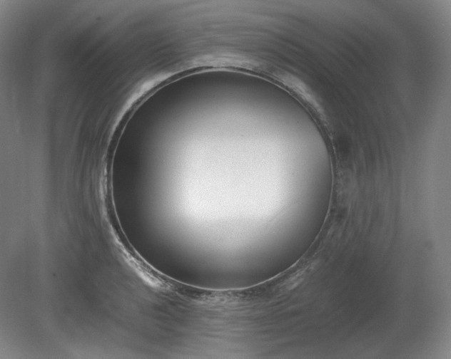X0000078881040200611201405