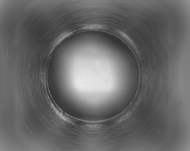 X0000078881041200611201405