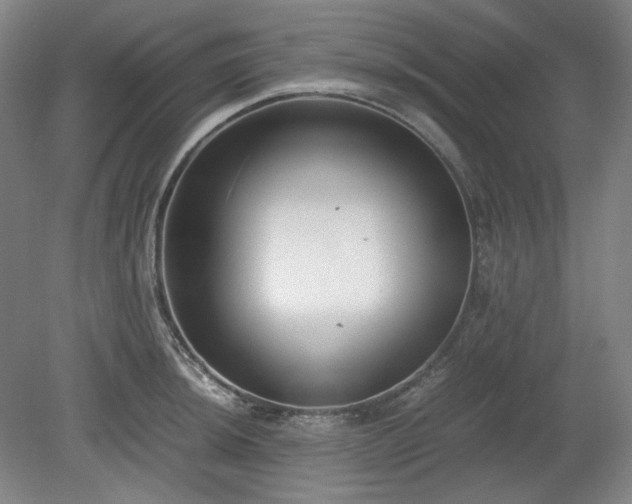 X0000078881044200611201405