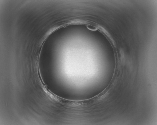 X0000078881049200611201405