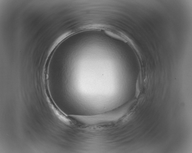 X0000078881050200611201405