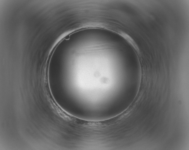 X0000078881052200611201405
