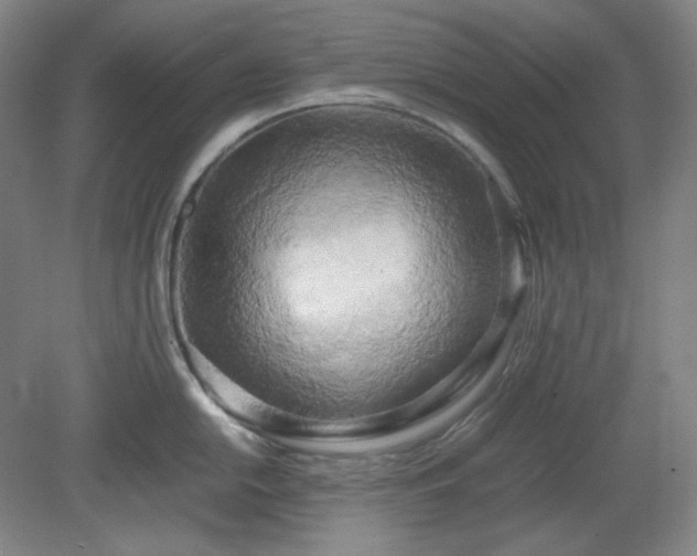 X0000078881054200611201406