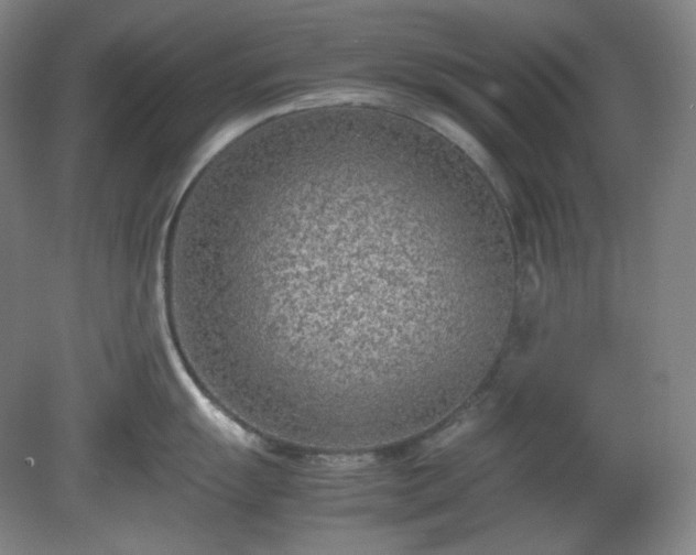 X0000078881055200611201406