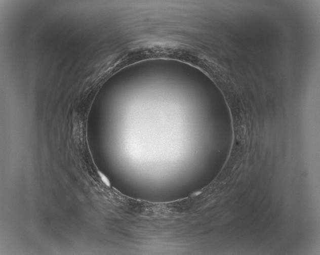 X0000078881061200611201405