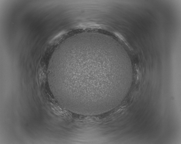 X0000078881063200611201405