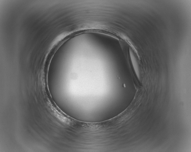 X0000078881072200611201404