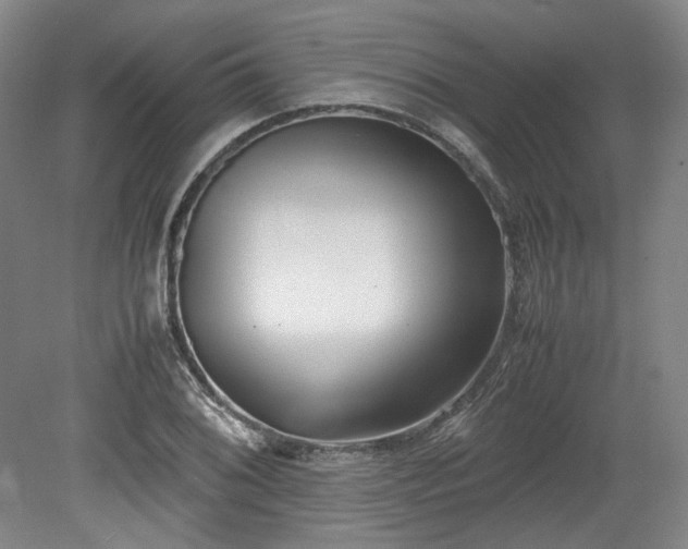 X0000078881076200611201404