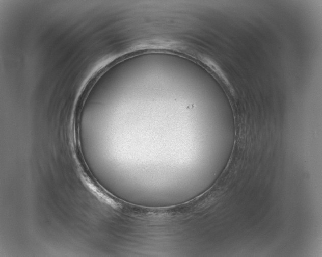 X0000078881080200611201404