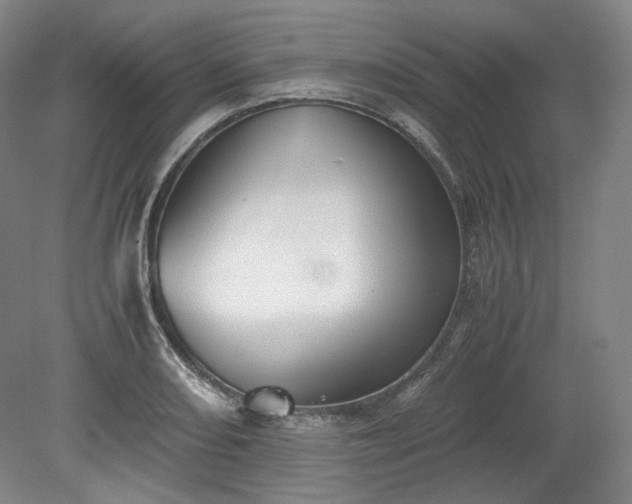 X0000078881082200611201404