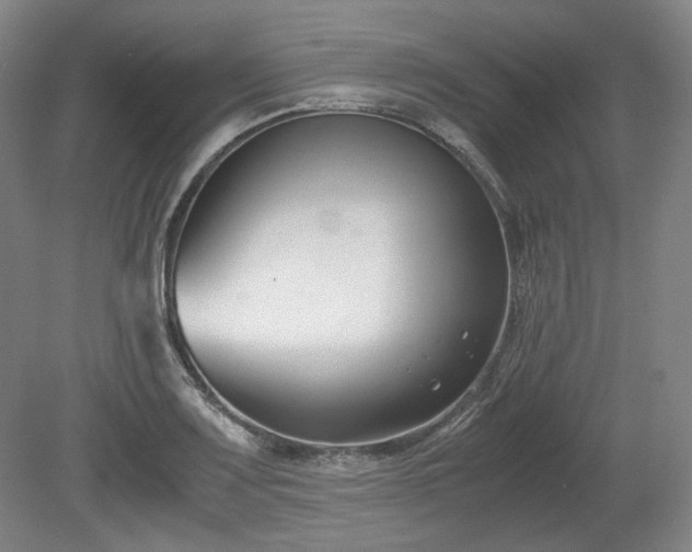 X0000078881083200611201404