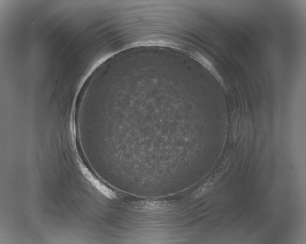 X0000078881084200611201404