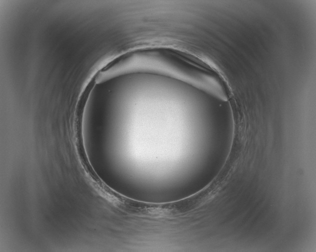 X0000078881085200611201404