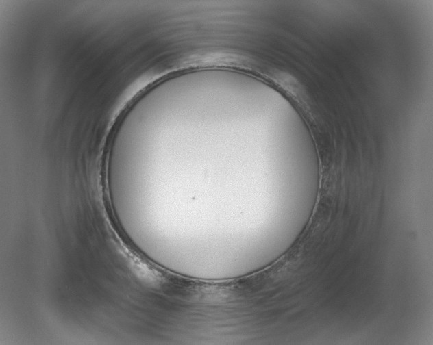 X0000078881086200611201404