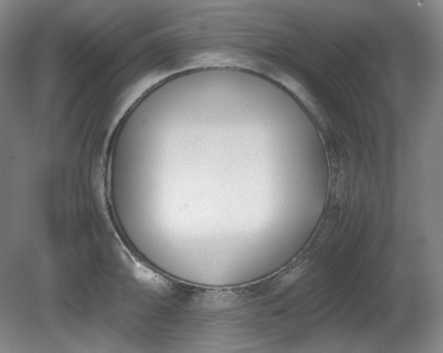 X0000078881094200611201404