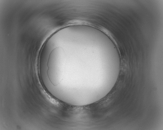 X0000078881098200611201404