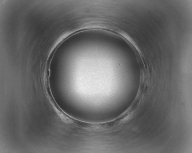 X0000078881101200611201404