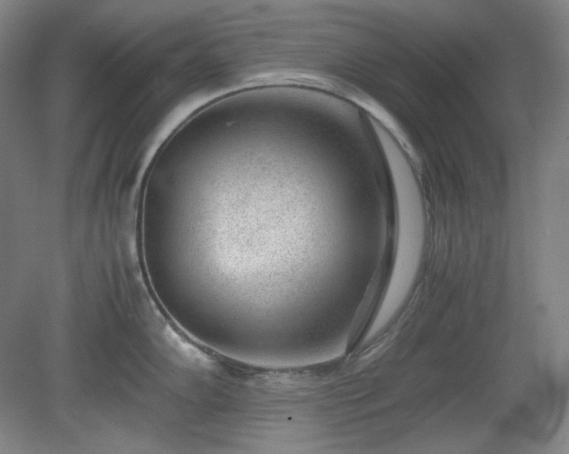 X0000078881102200611201404