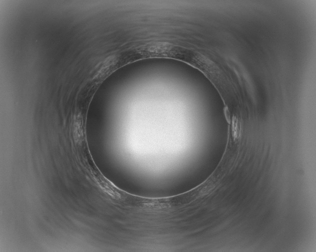 X0000078881107200611201403