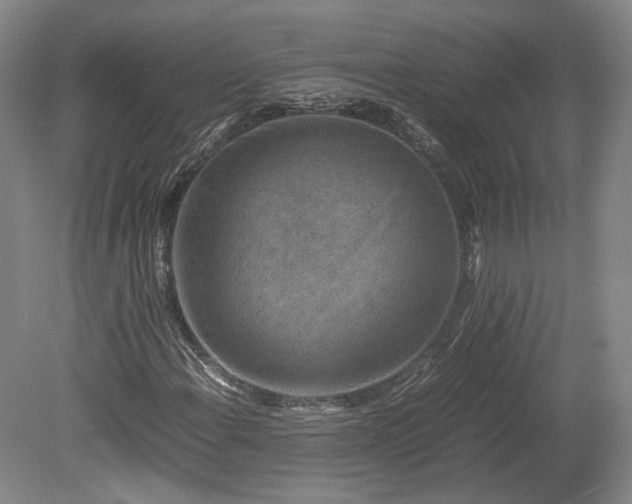 X0000078881108200611201403
