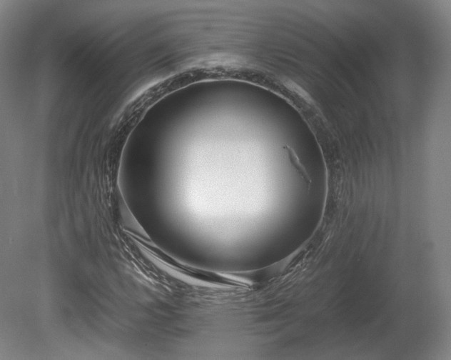 X0000078881112200611201403