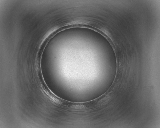 X0000078881119200611201403