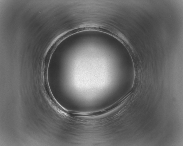 X0000078881124200611201403
