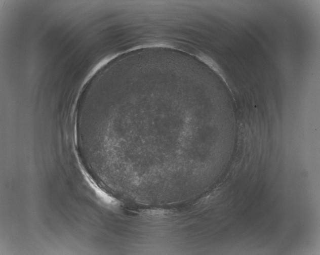X0000078881127200611201403