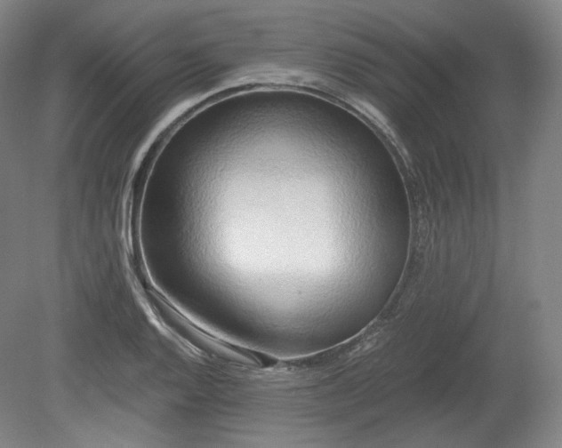 X0000078881128200611201404
