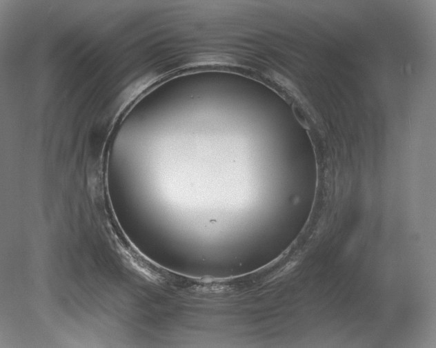 X0000078881129200611201404