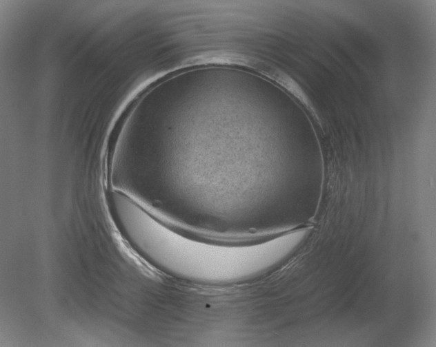 X0000078881132200611201404
