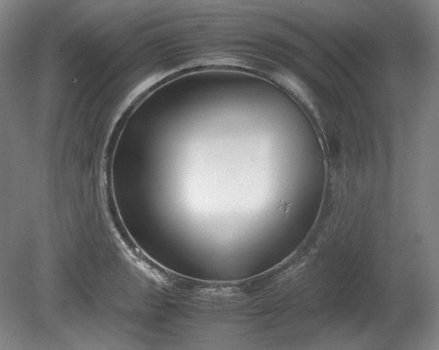 X0000078881133200611201404