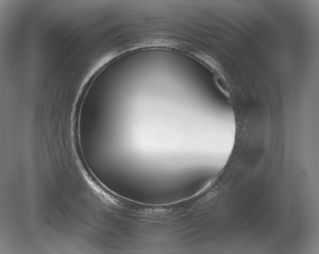 X0000078881135200611201404