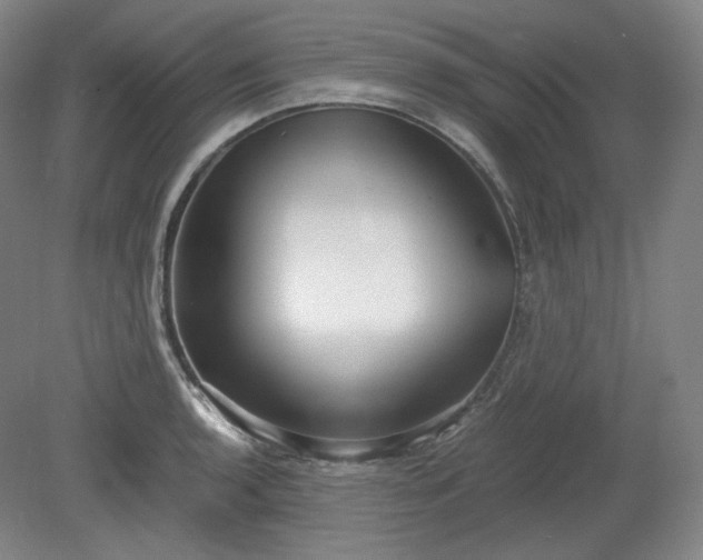 X0000078881136200611201404