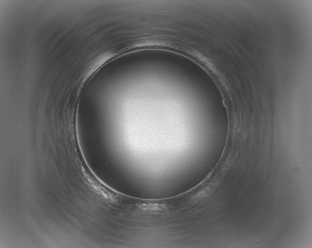 X0000078881137200611201404